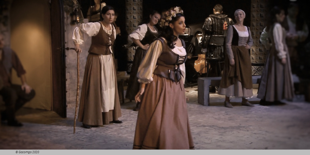 Performance at the Krakow Opera