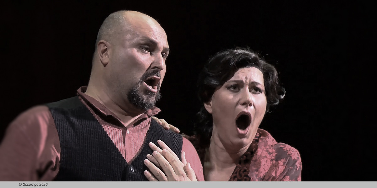 Performance at the Teatro Reale di San Carlo