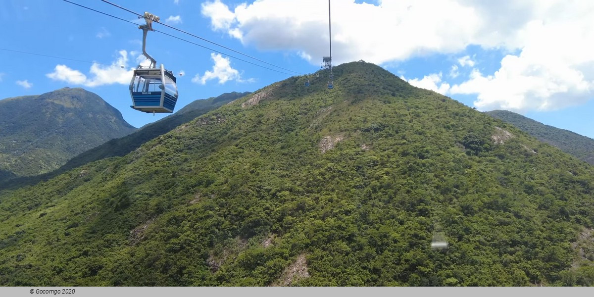 Day Tour to the Lantau Island: Big Buddha, Tai O and Cable Car Ngong Ping 360 Ride