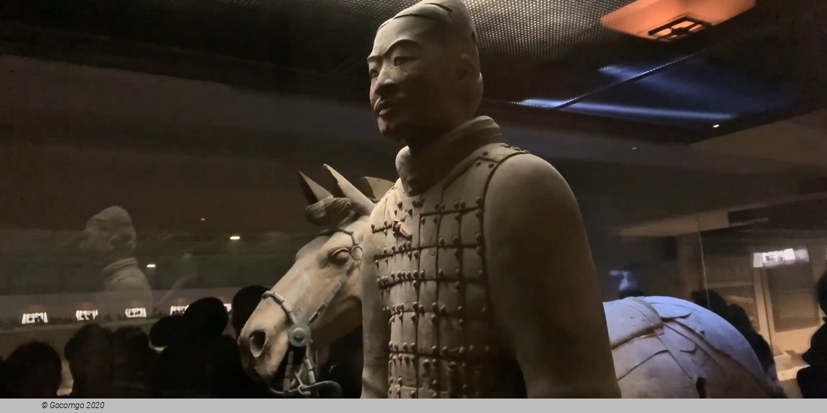 Full-Day Tour to Xi'an and the Terracotta Army by Flight from Shanghai