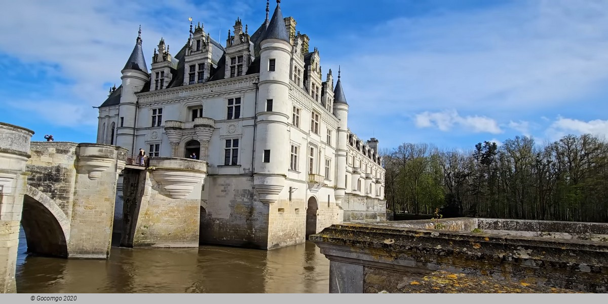 Loire Valley Castles Tour from Paris and Wine Tasting