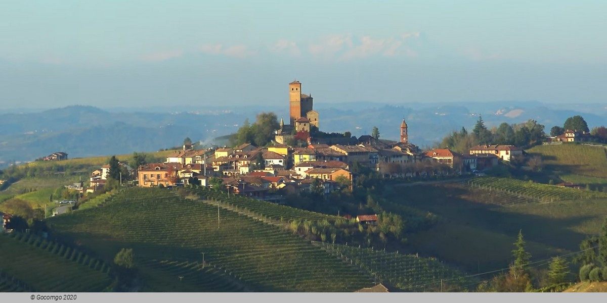 Tour from Milan: Barolo wine tasting, Alba town and UNESCO Castle Heritage