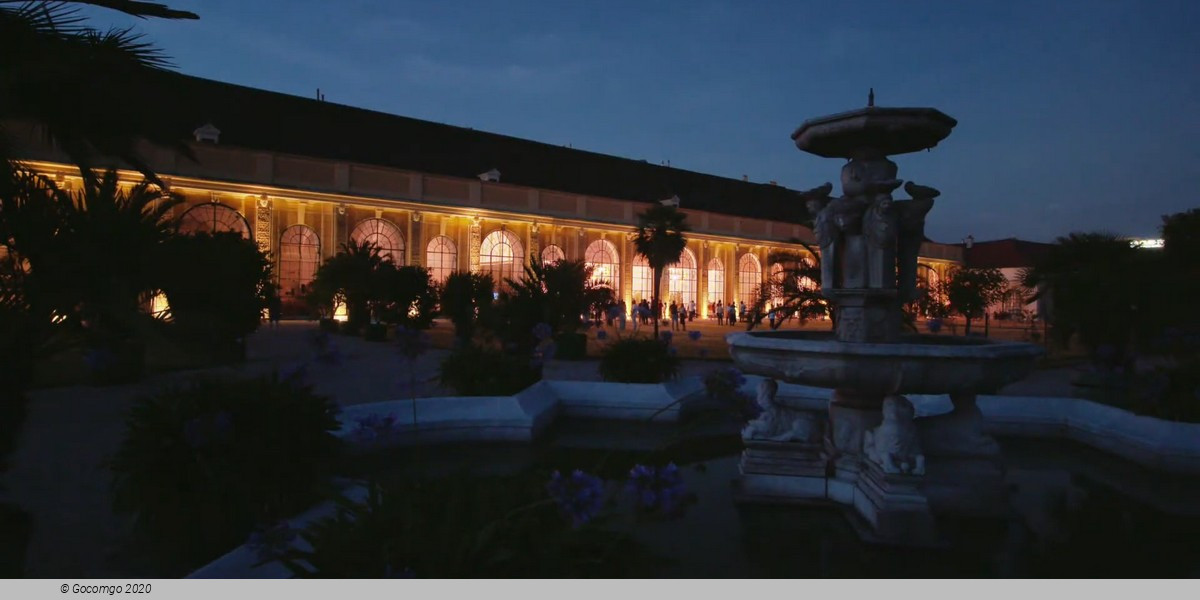 Evening at the Schönbrunn Palace Vienna: Classical Concert and Dinner