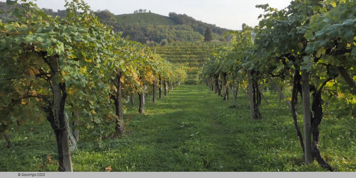 Prosecco Wineries Tour with Wine Tasting