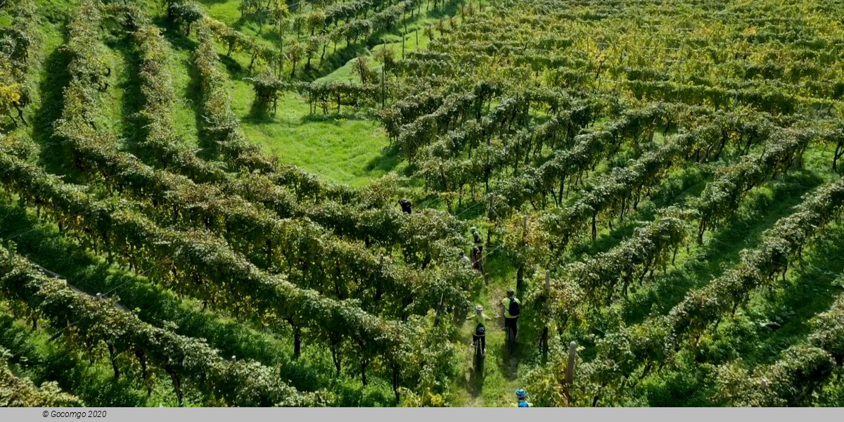 Prosecco Wineries Tour with Wine Tasting