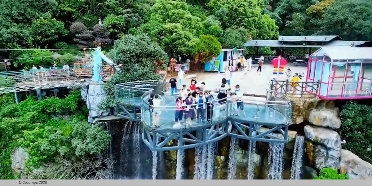 Private Day Tour to Gulong Canyon and Glass Bridge from Guangzhou