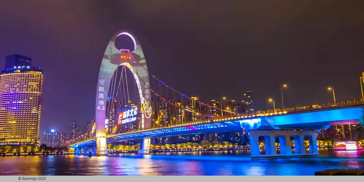 Guangzhou Pearl River Night Cruise and Canton Tower Private Tour