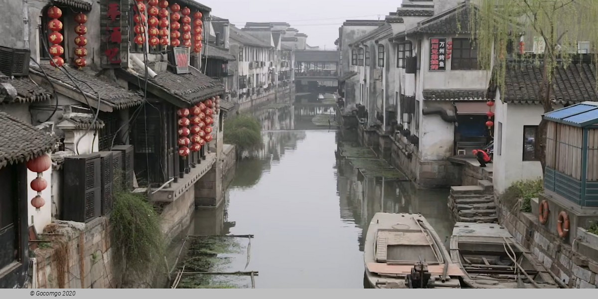 Xitang Ancient Water Town Private Day Tour from Hangzhou with Optional Lunch or Dinner