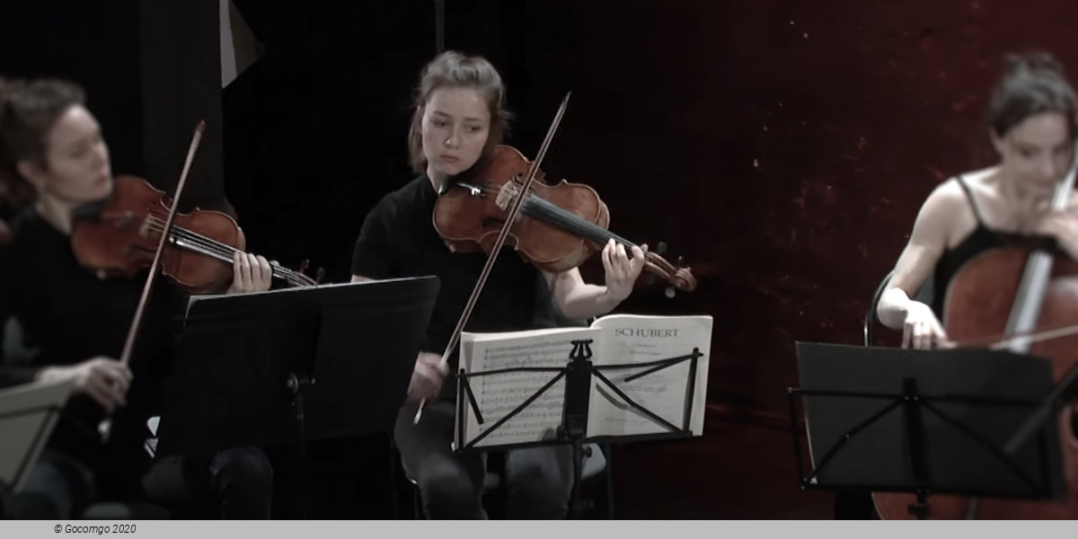 Octuors a cordes, photo 1