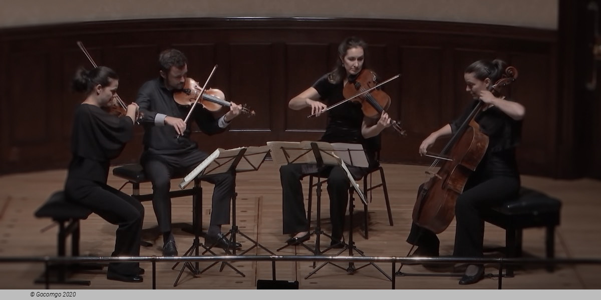 String quatuors, photo 1