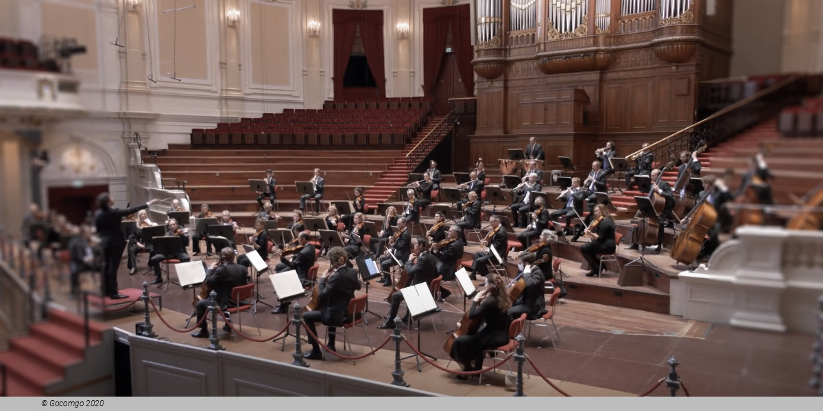 Concertgebouworkest Horizon: Klimt's The Kiss, photo 1
