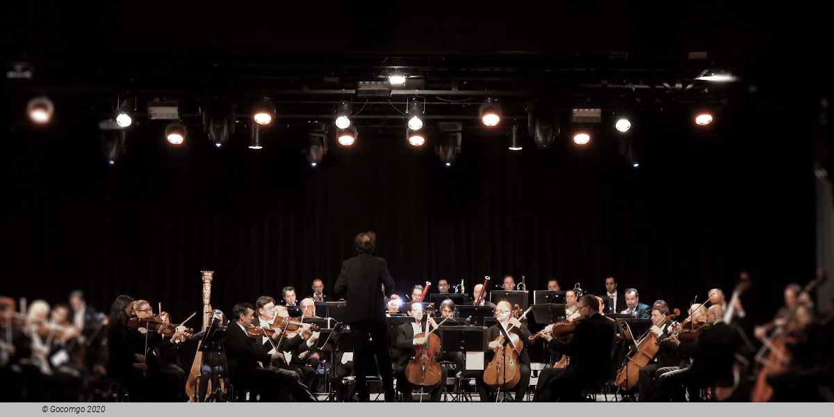 Manfred Honeck and the Wiener Symphoniker, photo 1