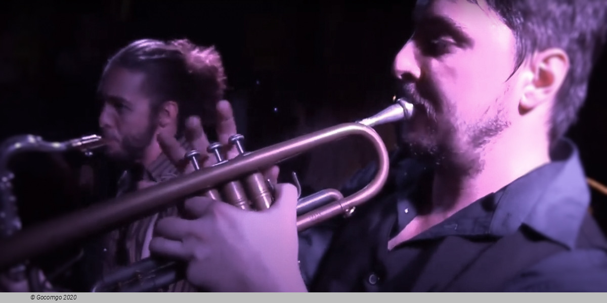 Music Groups, photo 1