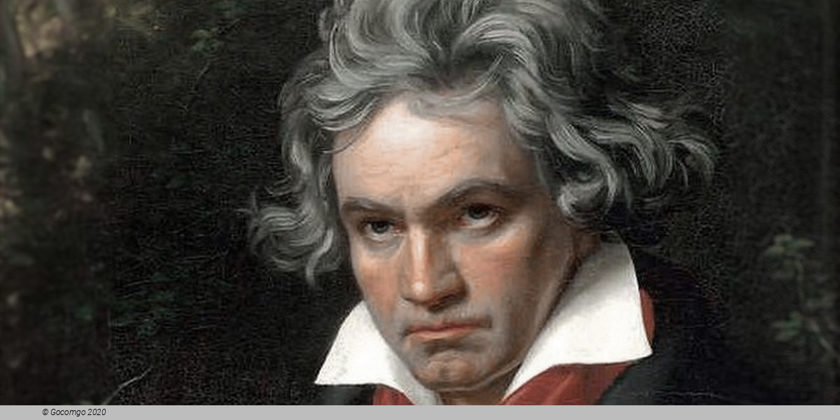 Film: “Ludwig van”, photo 1