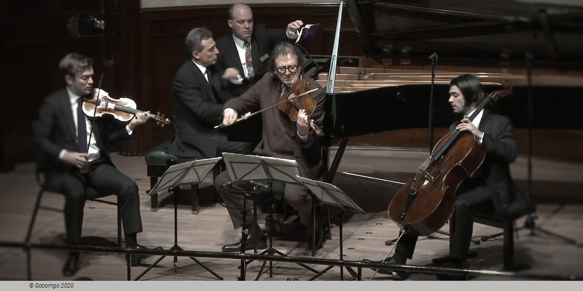 Piano wooed by strings, photo 1