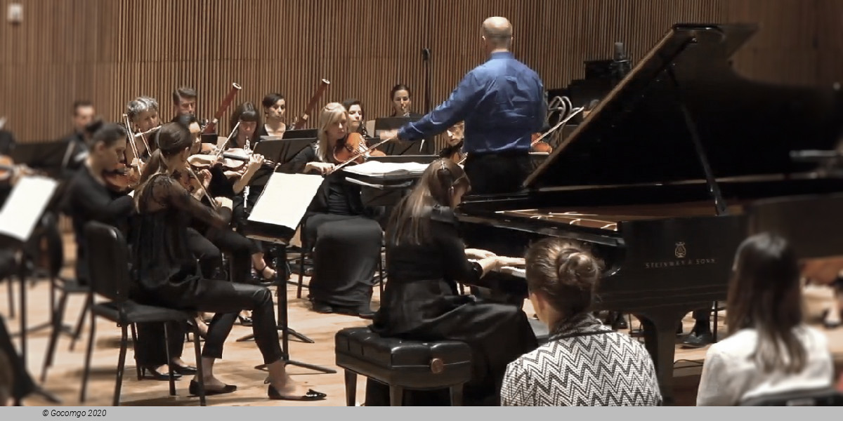 New York Concerti Sinfonietta, photo 1