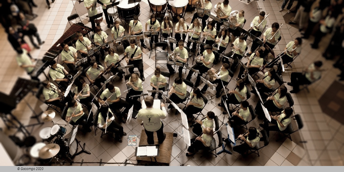 Norwalk Youth Symphony and Empire State Youth Orchestra, photo 1