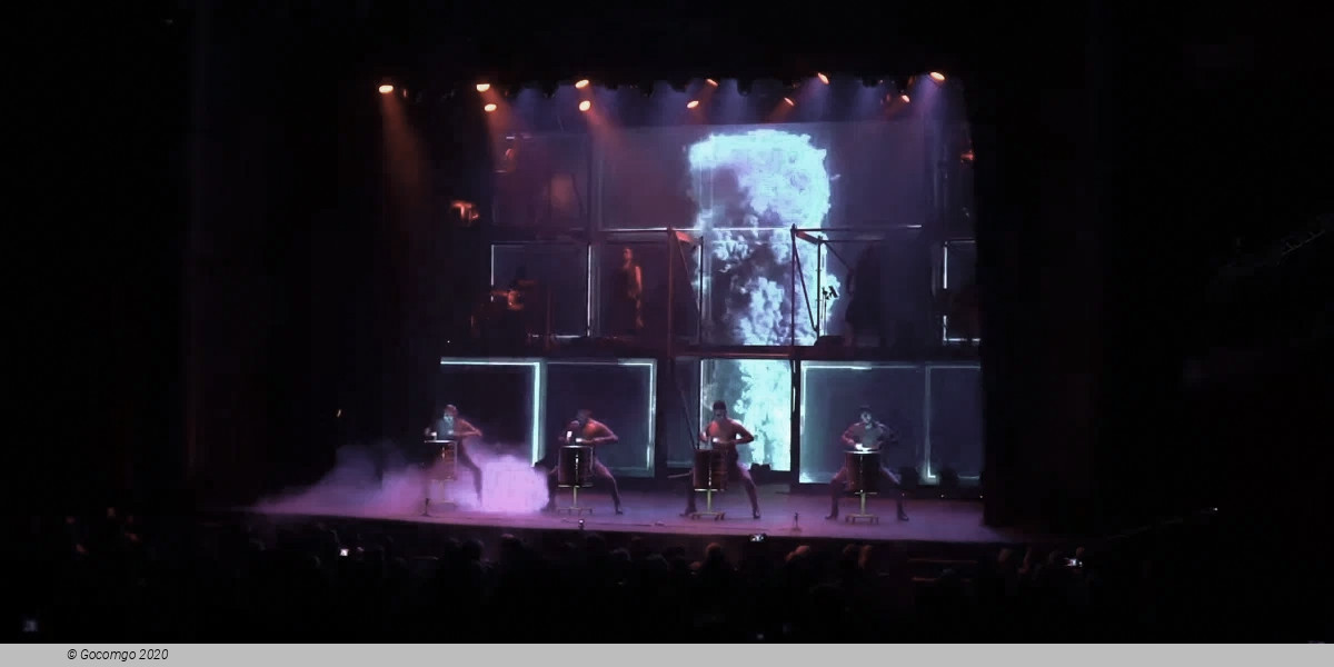 MALEVO - 10 YEARS, photo 1