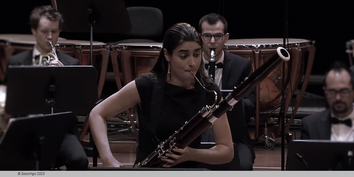 Wiener Philharmoniker / Dervaux / Thielemann, photo 1