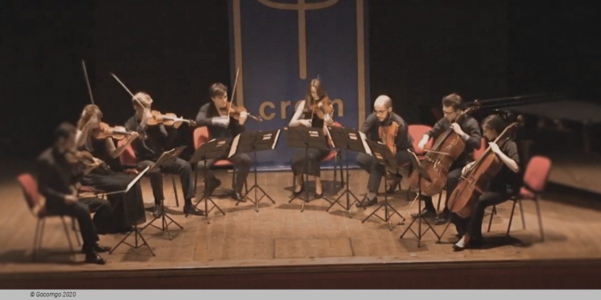 Oberton String Octet, photo 1