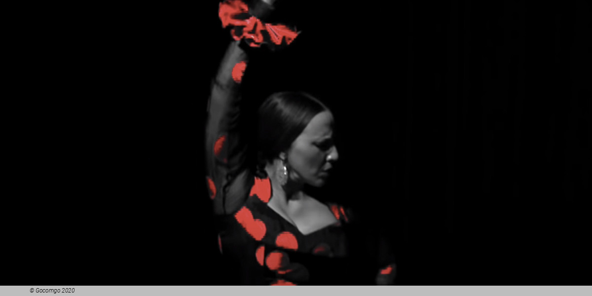 Flamenco y Tango Pasión, photo 1