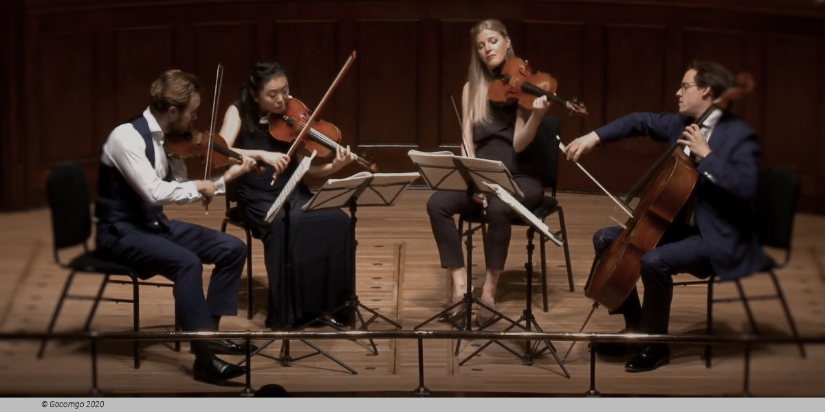 Doric String Quartet, photo 1