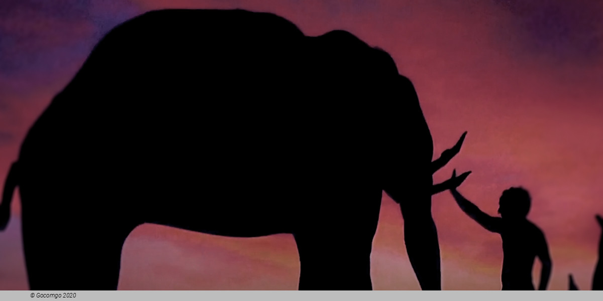 Moving Shadows, photo 1