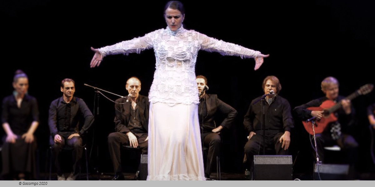 Azabache Flamenco, photo 1