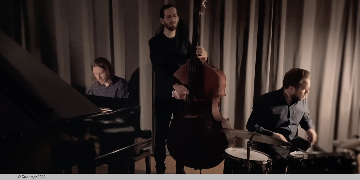 Emil Brandqvist Trio, photo 1