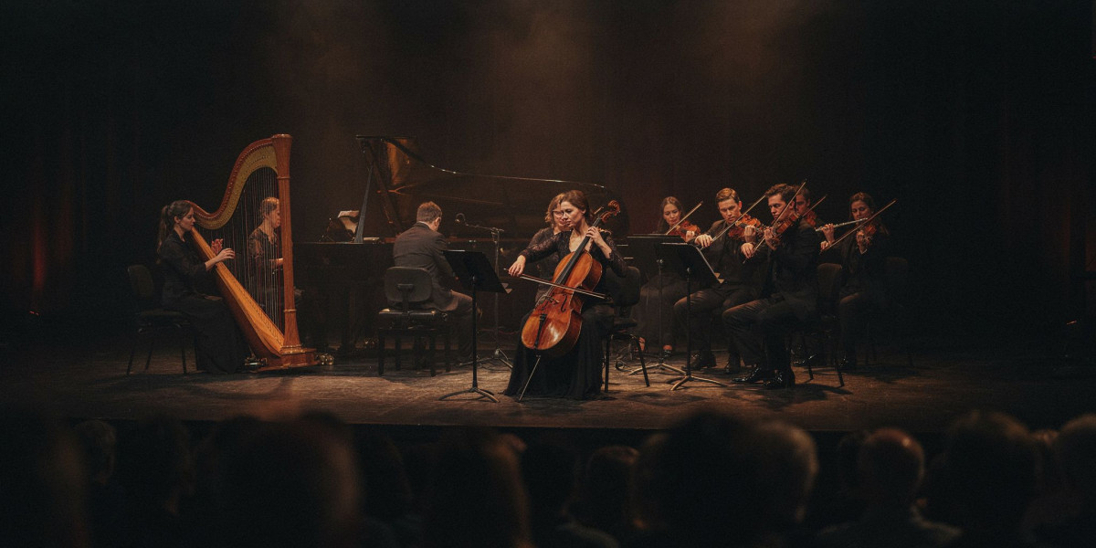 Family Concert, photo 1