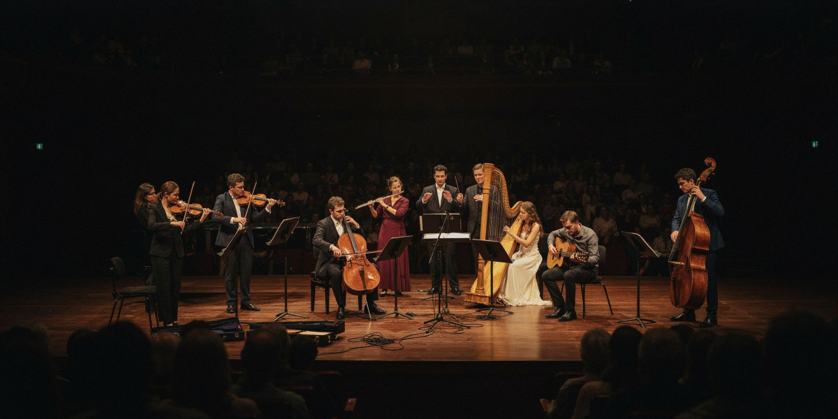 Family Concerts, photo 1