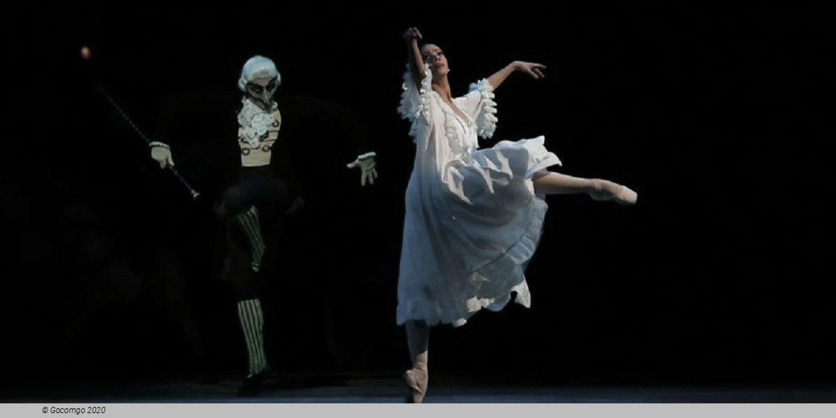The Nutcracker, photo 7