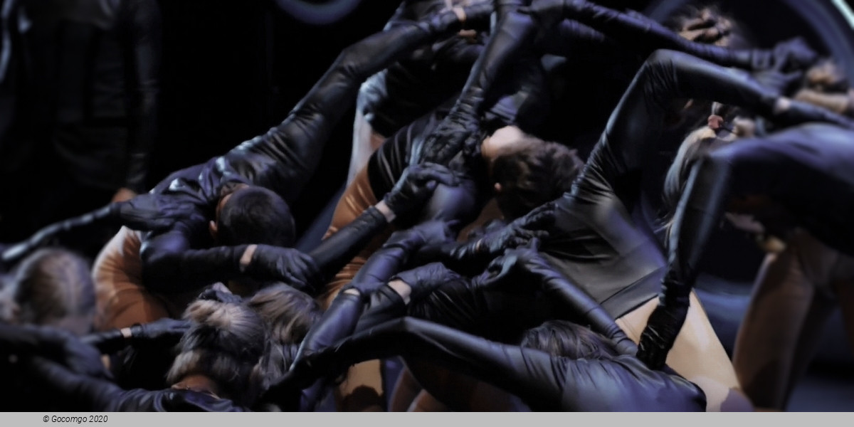 Kyiv Modern Ballet, photo 5