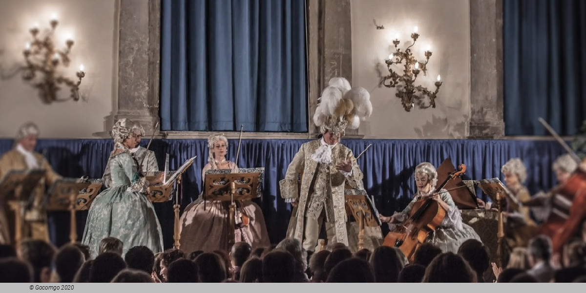 New Year Concert, photo 2
