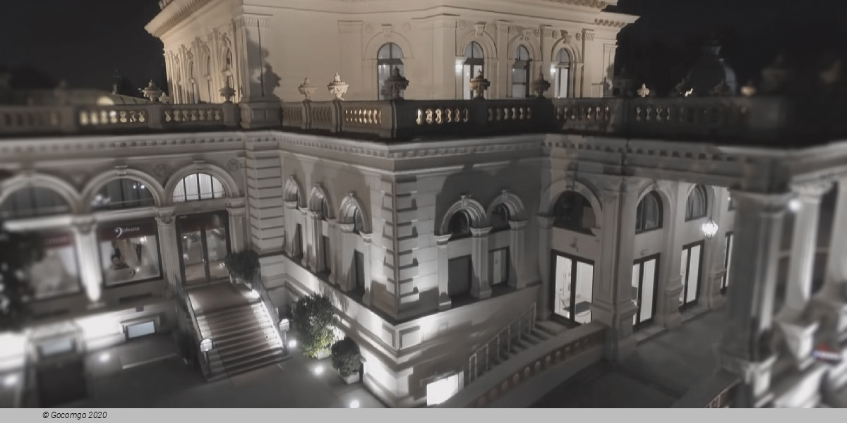 New Year's Day Concert and Dinner, photo 2