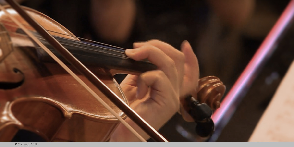 The Symphonica ARTica symphony orchestra, photo 1