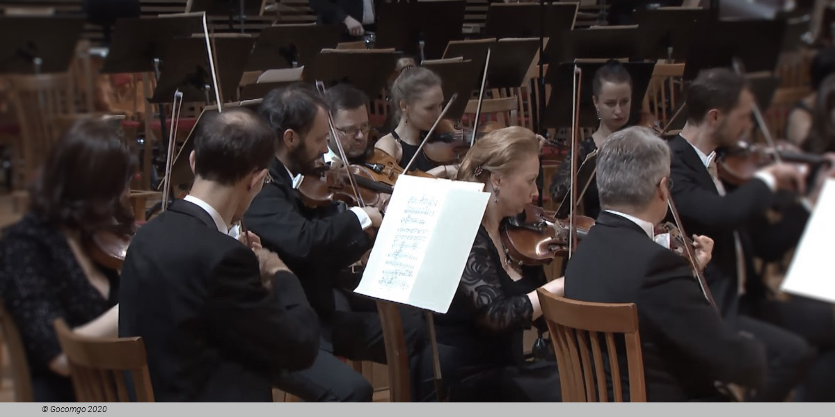 The Mariinsky Orchestra, photo 1