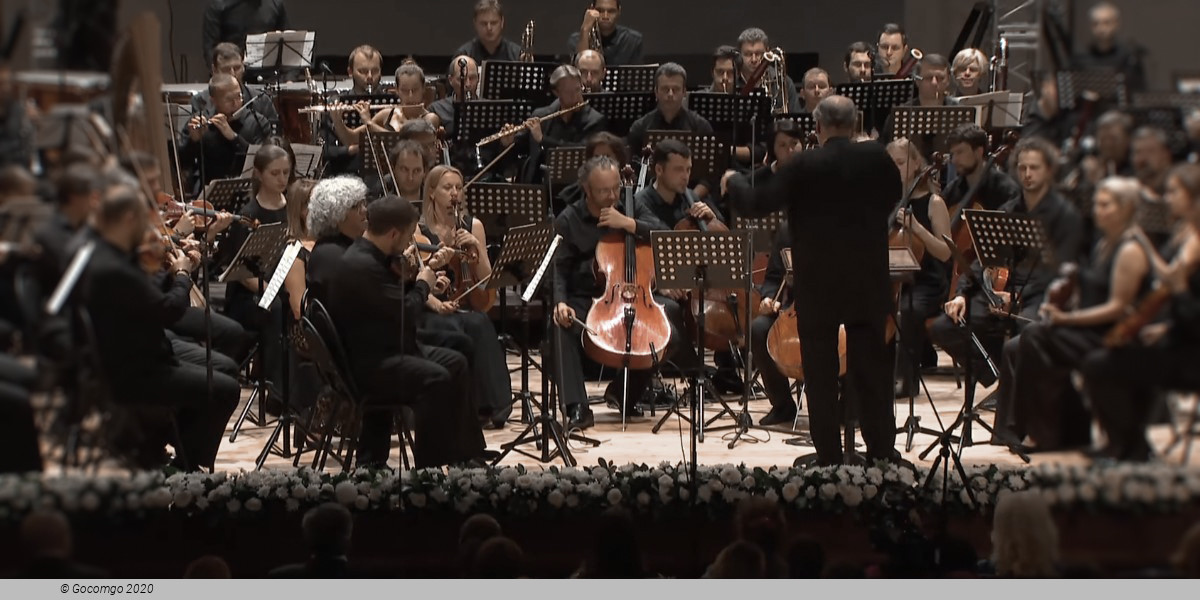 The Mariinsky Orchestra, photo 2