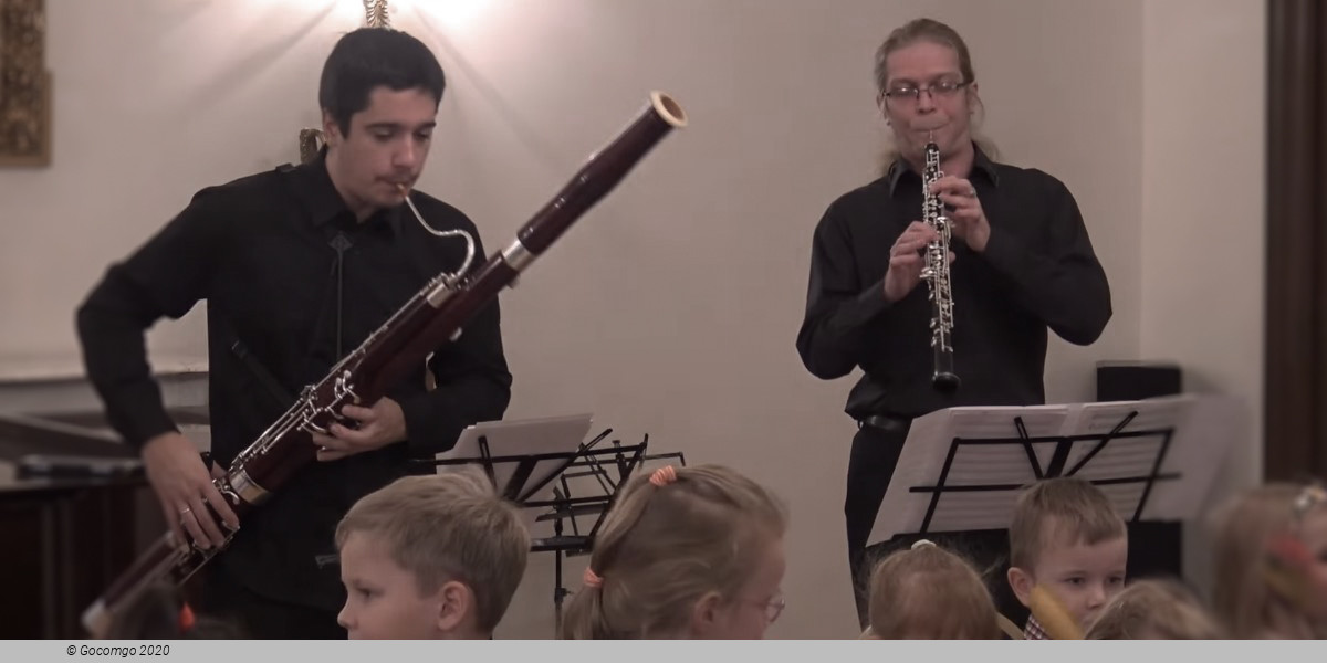 The bassoon, oboe and English horn in fairy-tales by Andersen, photo 1