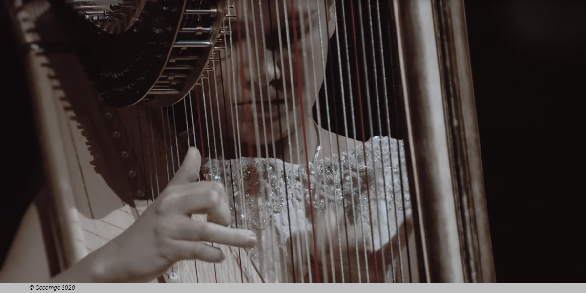 Sofia Kiprskaya (harp) and the ensemble Renaissance Percussion, photo 1