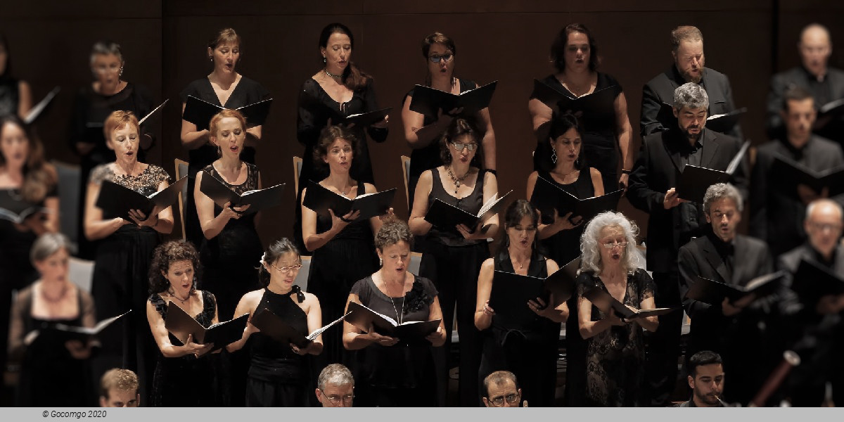 Besançon Franche-Comté International Music Festival, photo 3, photo 1