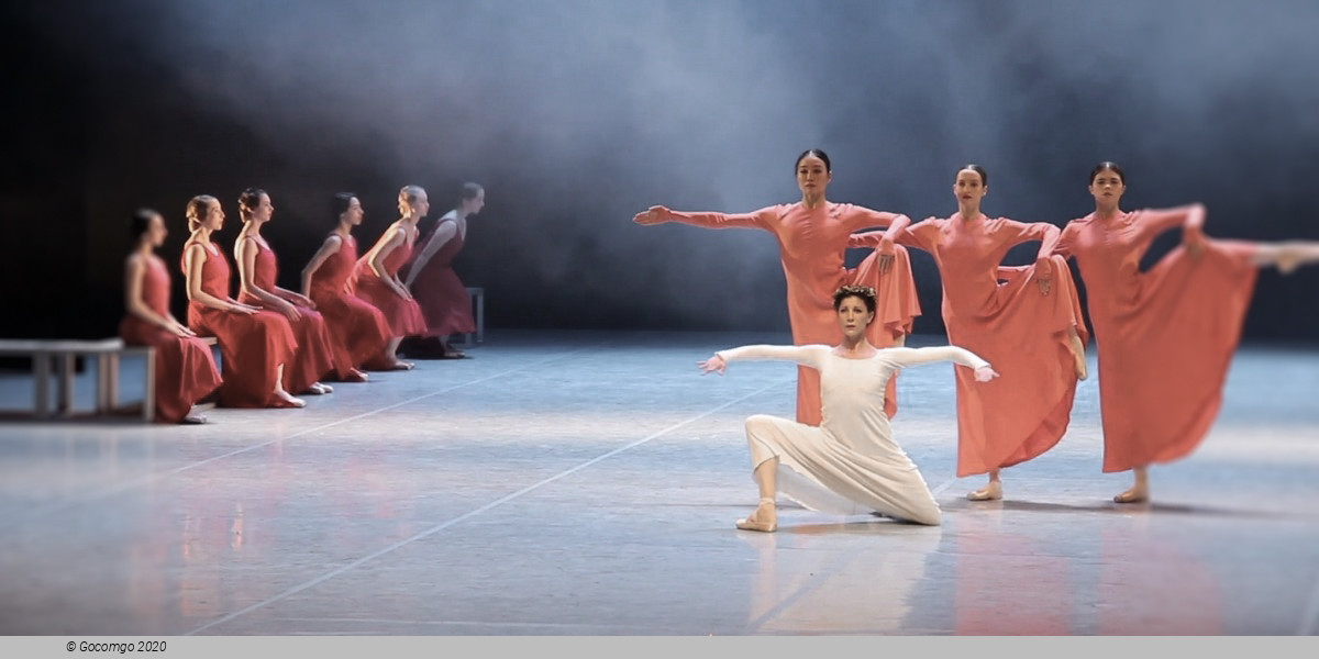 The World of John Neumeier, photo 6