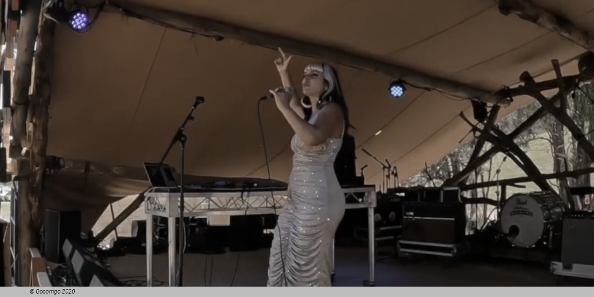 Tanglewood Music Festival, photo 5