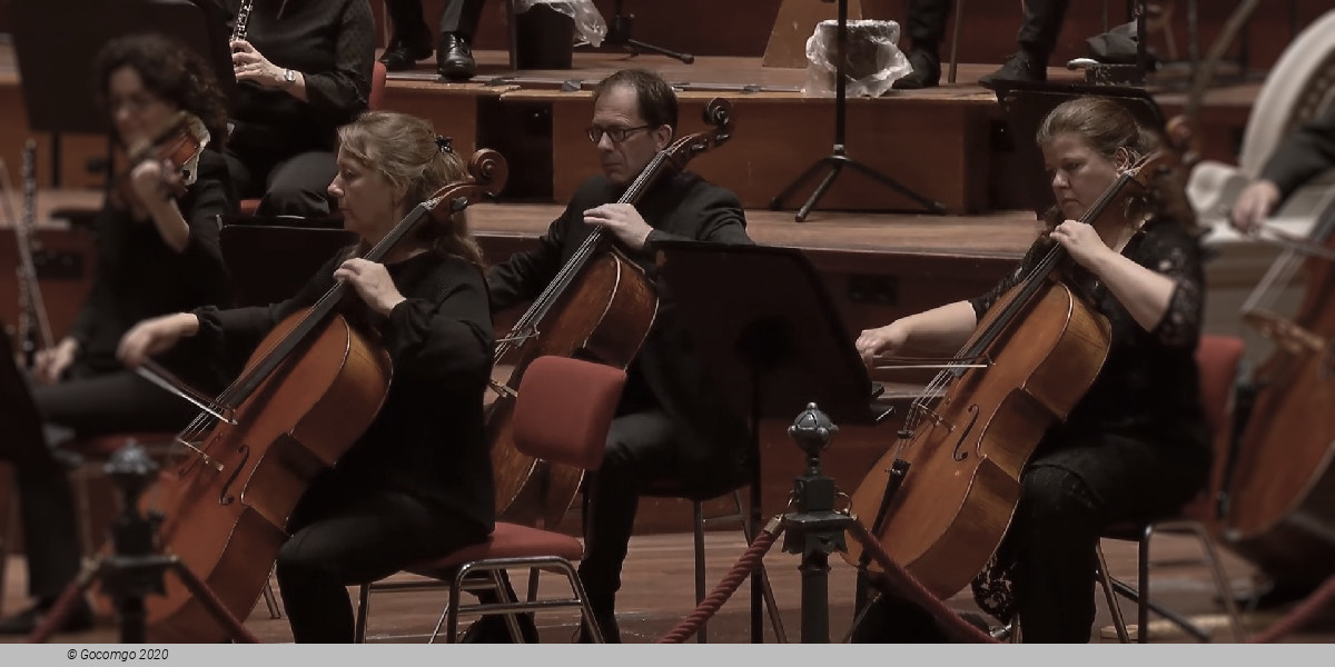 SummerConcerts at the Royal Concertgebouw Amsterdam, photo 1