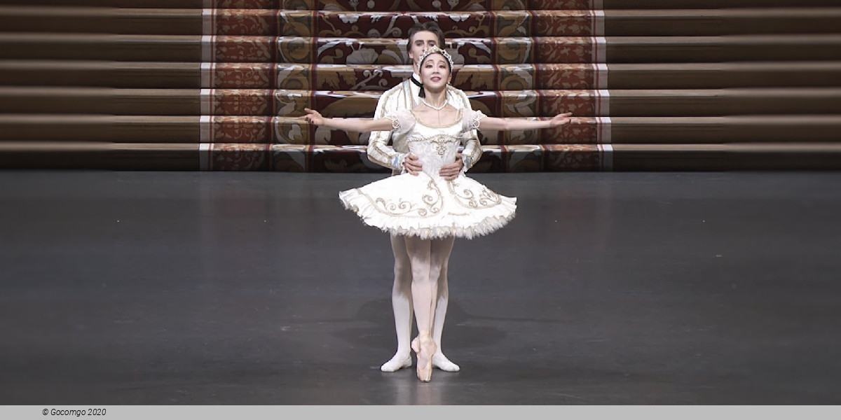 Scene 2 from "The Sleeping Beauty" choreographed by Wayne Eagling (after Marius Petipa), photo 10