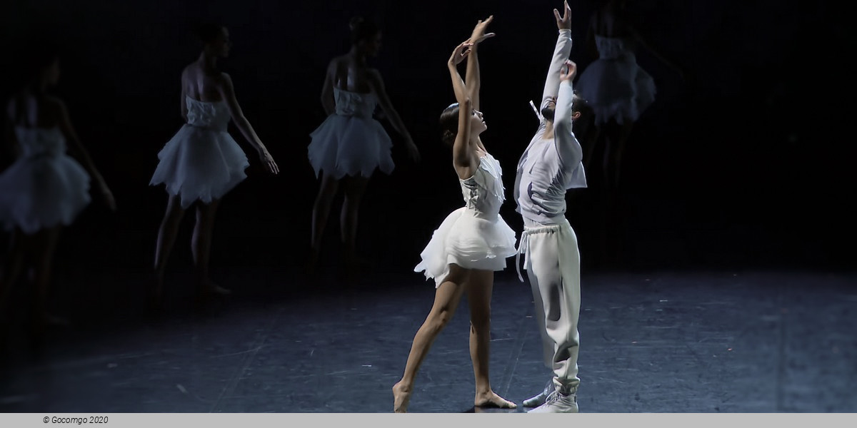 Swan Lake by Angelin Preljocaj