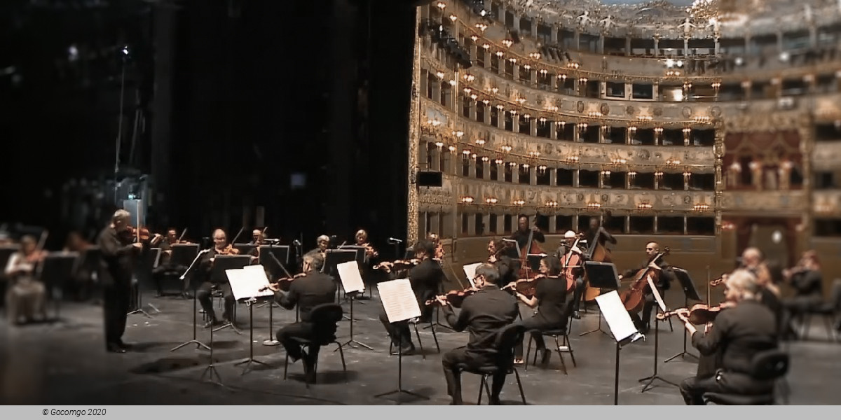 La Fenice Orchestra, photo 1