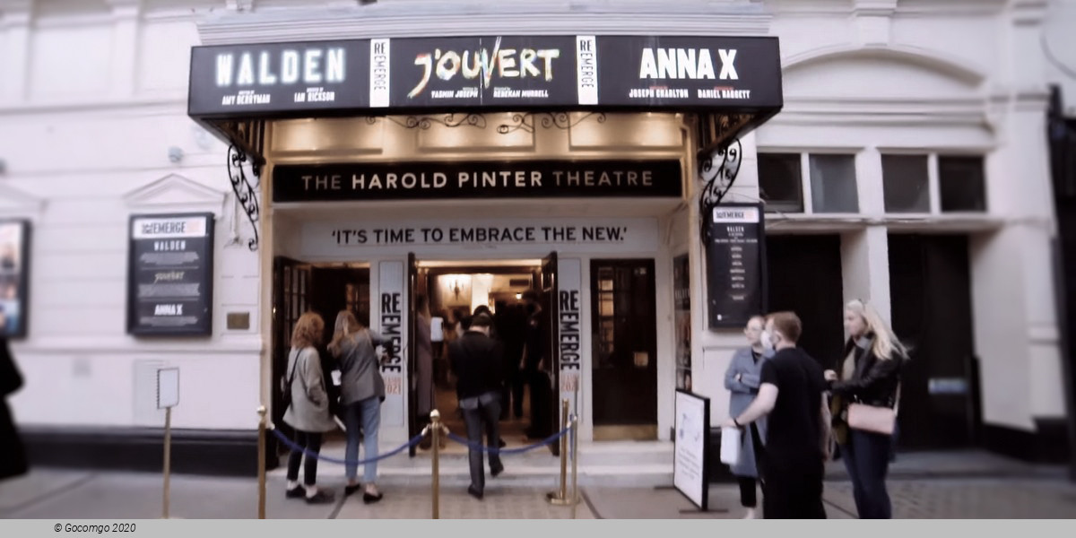 Dec Harold Pinter Theatre schedule & tickets