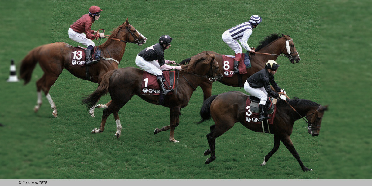 1 - 19 Sep 2024 Longchamp Racecourse schedule & tickets