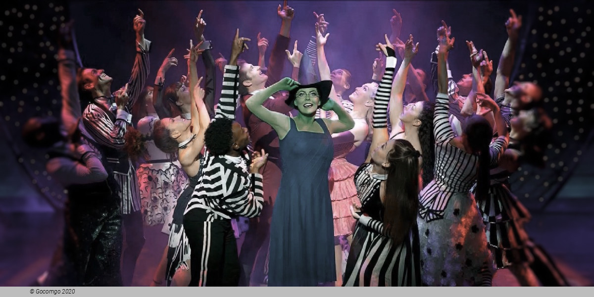 Jan  2025 Wicked (Gershwin Theatre) schedule & tickets